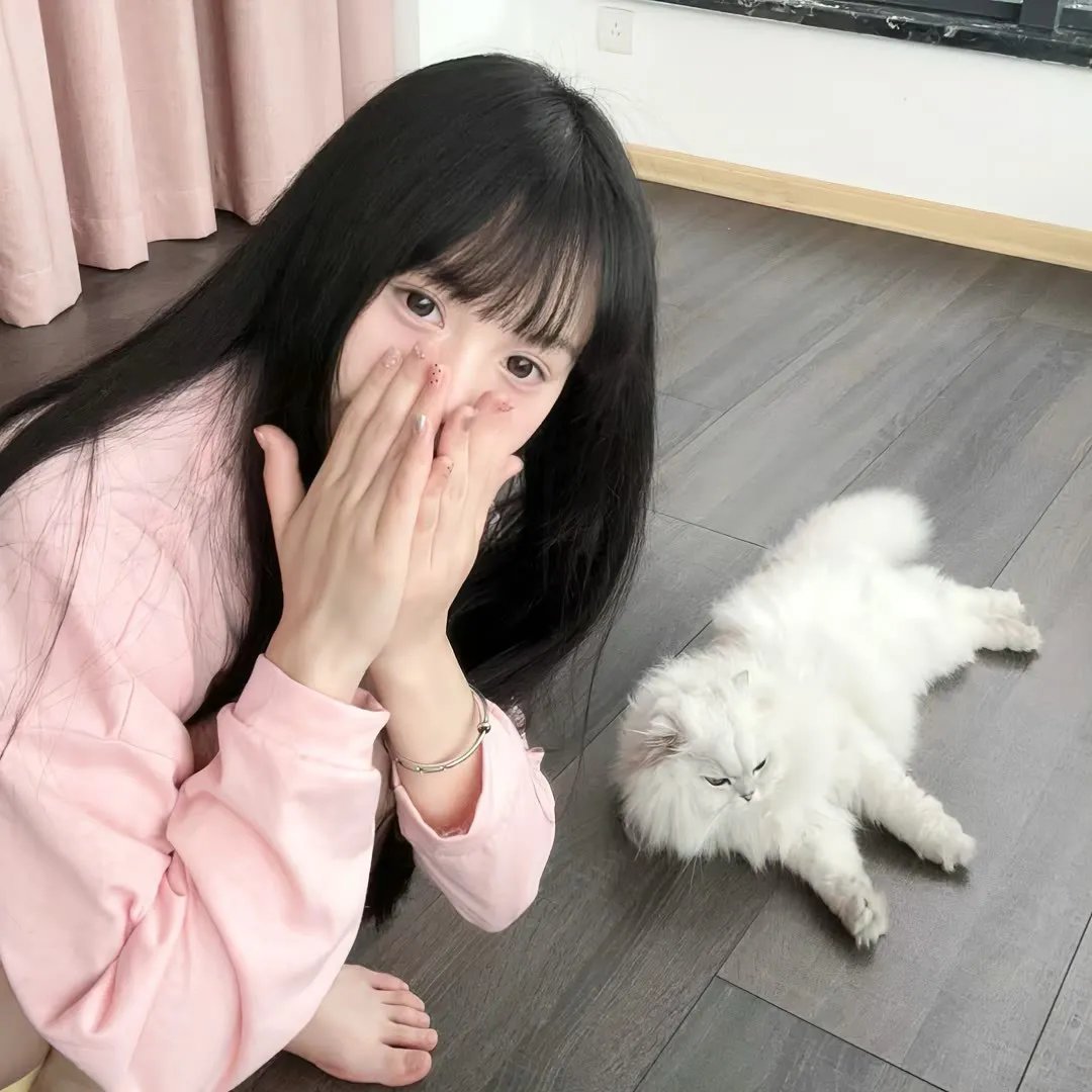 少爷仔